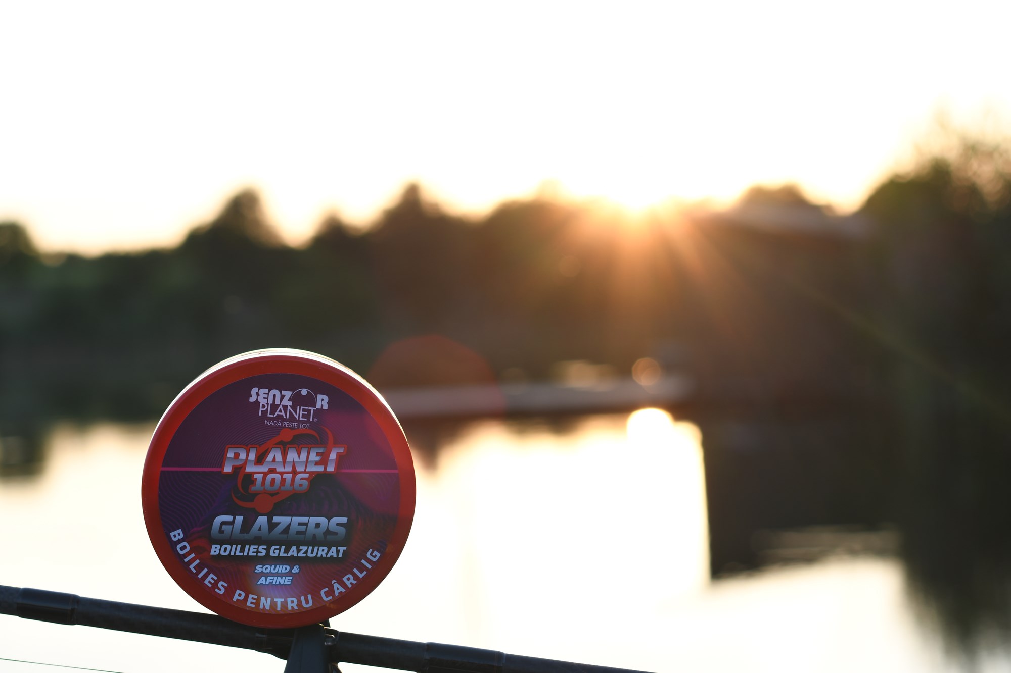 Tancabesti 29 mai - 2 iun. - DSC9533.jpg